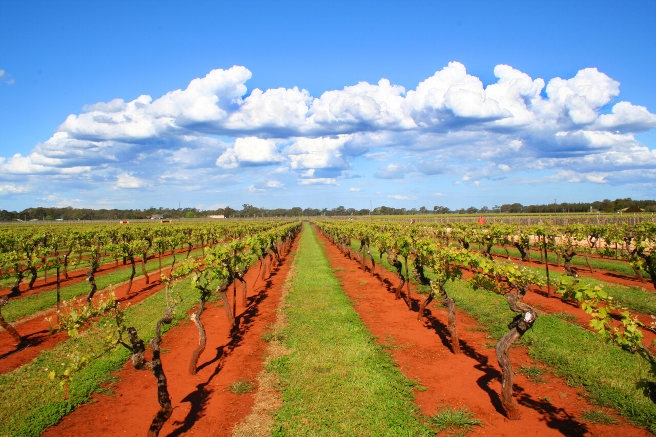 Coonawarra