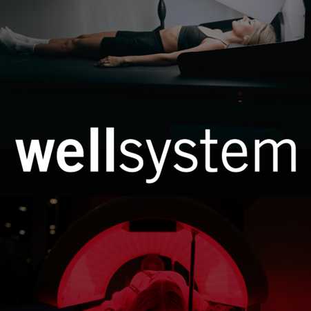 Wellsystem