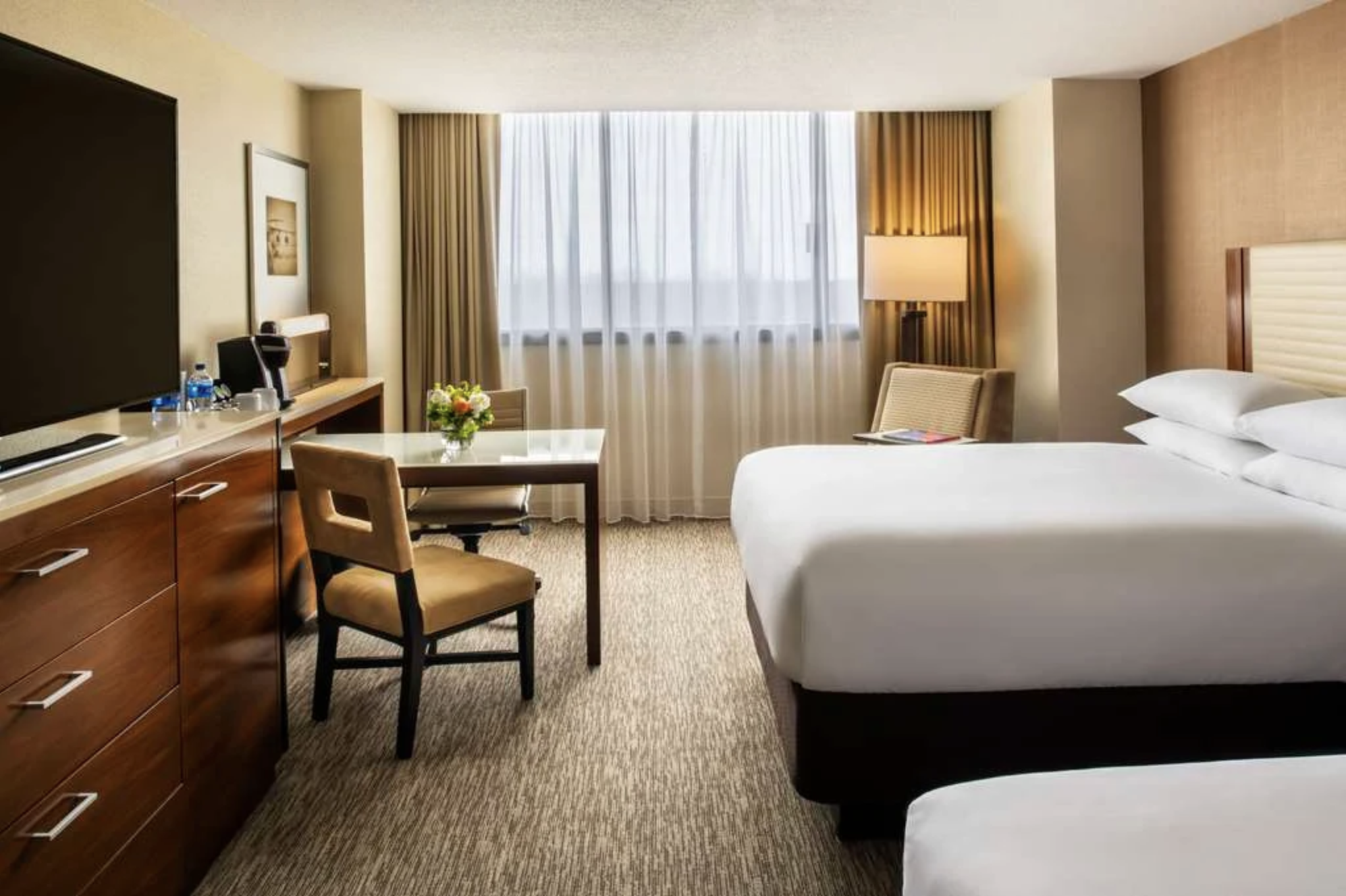 Hotel Room Accommodations