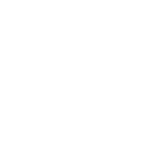 CANDIDATE RESUME icon