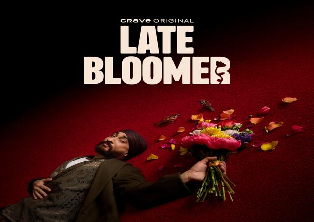 Late Bloomer movie poster