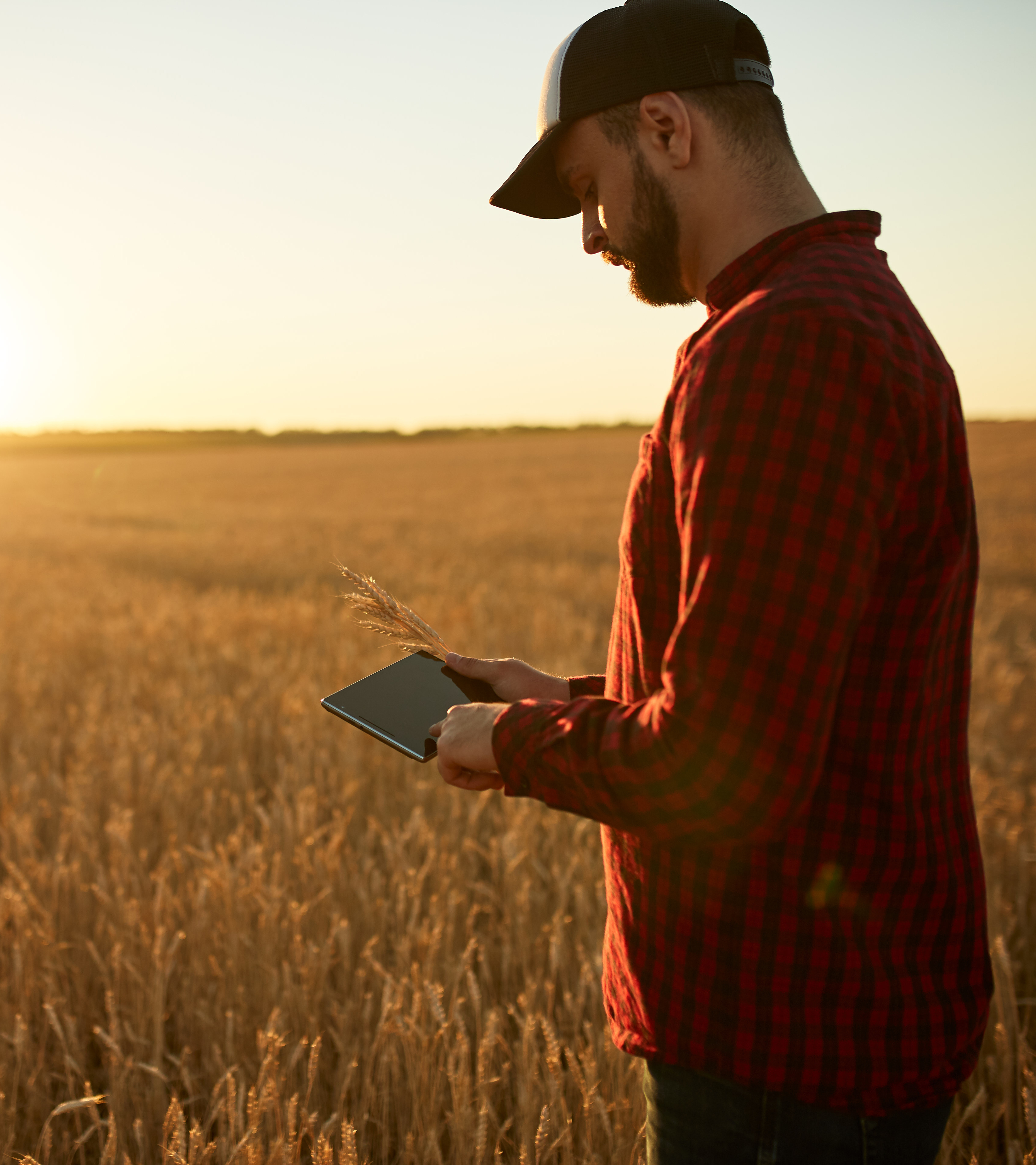 The Royal Agricultural Virtual Experience