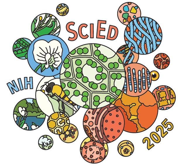 SciEd 2025 Illustration