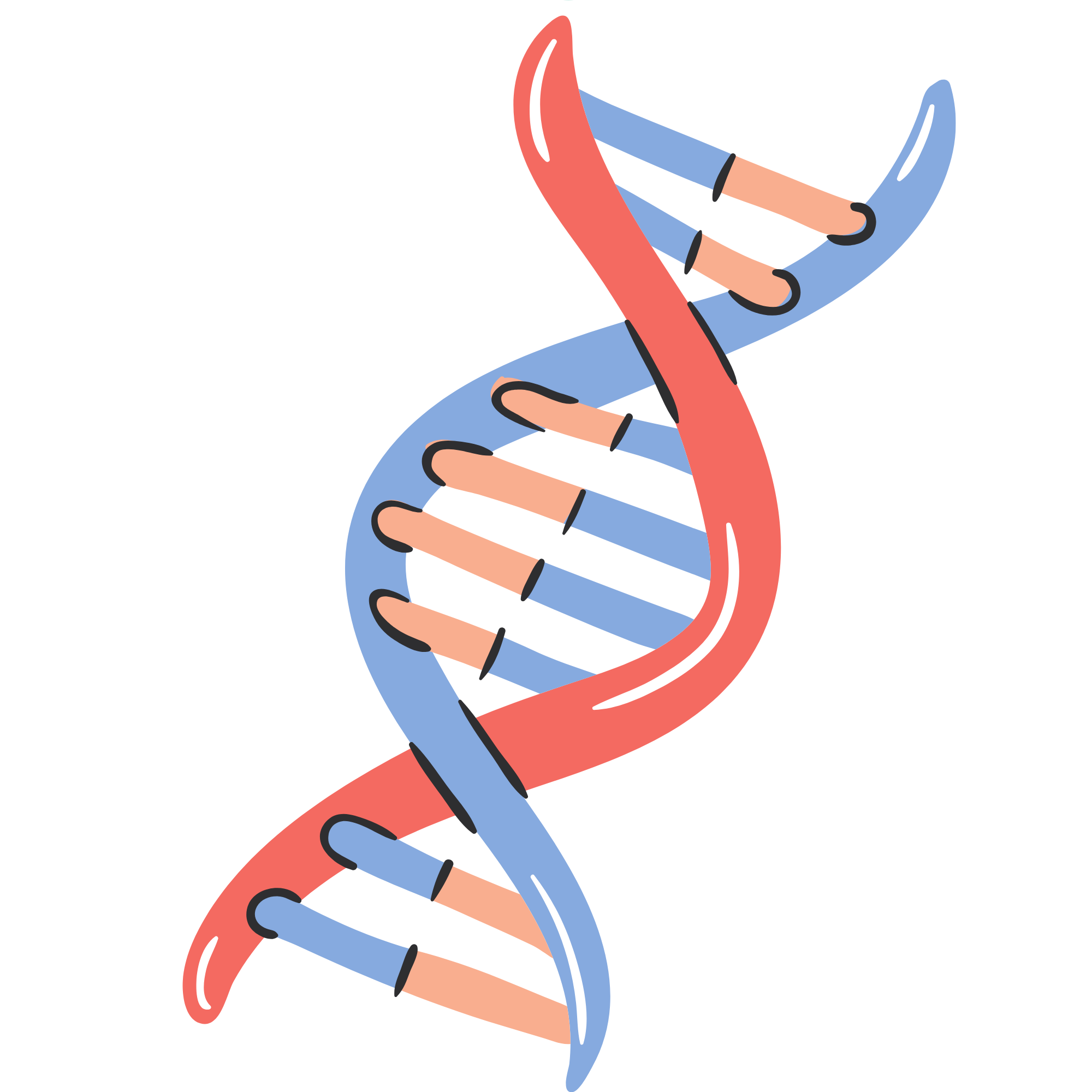 Тест на отцовство красноярск. ДНК. ДНК тест. Как выглядит ДНК. ДНК экспертиза.