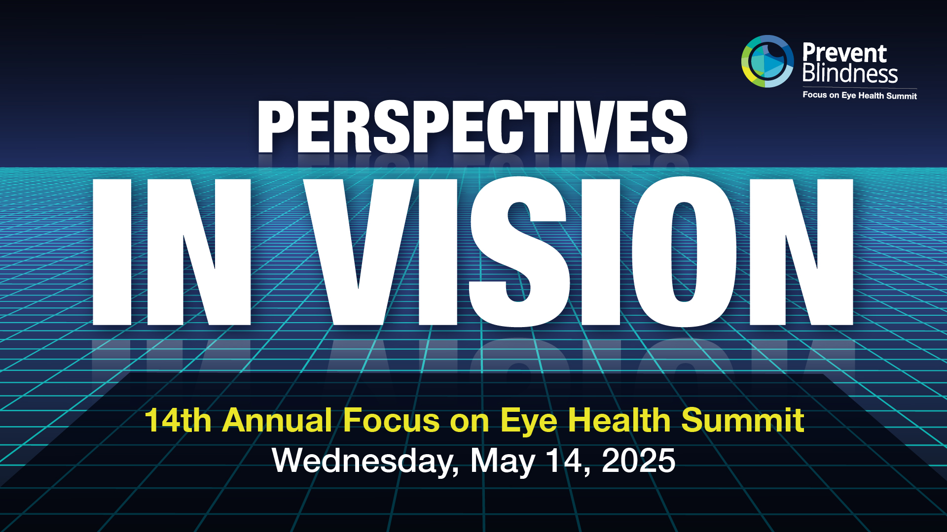 13th Annual Focus on Eye Health Summit banner