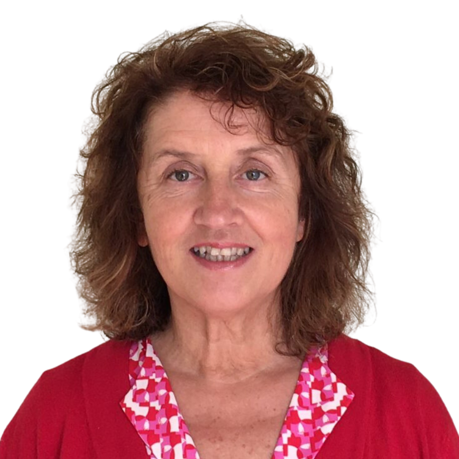 Beyond the Basics Mastering GMDP Compliance and Inspection Readiness