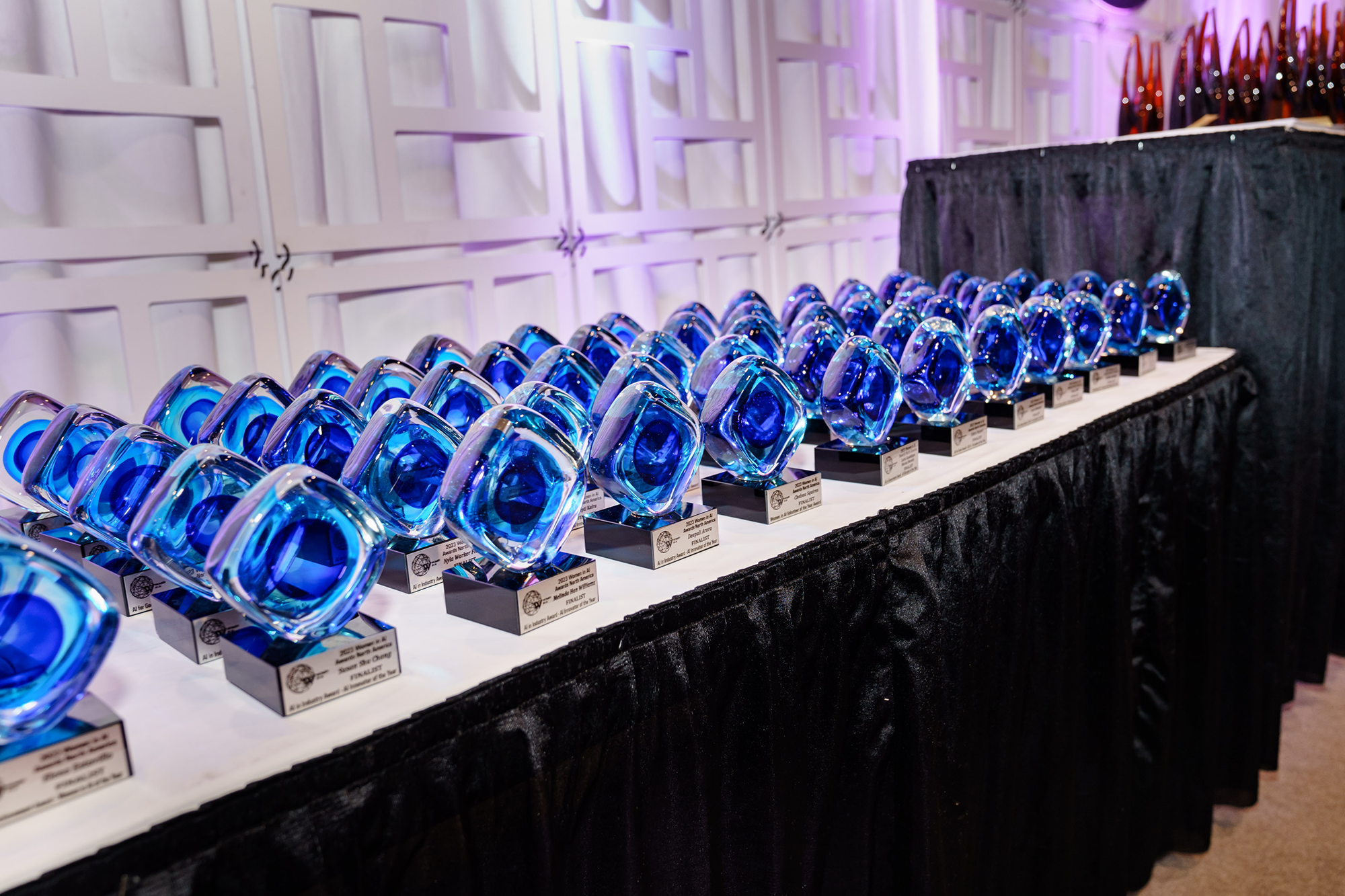 Women in AI Summit & Awards North America 2025